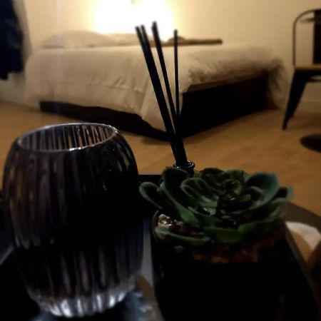 Appartamento Le 29 Studieux, wifi, à 3min de la gare sncf Agen Esterno foto